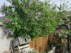 -可可露咖啡店(大东店)