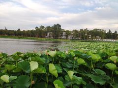 -长春市南湖公园