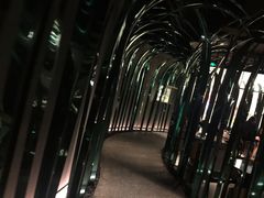 -凤园椰珍·臻品椰子鸡(保利时光里店)