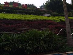 -三峡古玩城(泰古广场店)