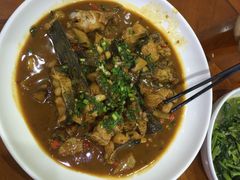 -全乐鱼馆·淳牌有机鱼直营店