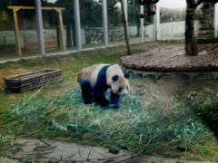 -西安秦岭野生动物园