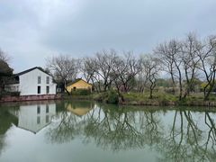 -西溪国家湿地公园