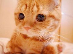 -08涮肉坊(广顺南大街店)