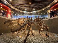 -国家自然博物馆