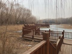 -塘沽森林公园