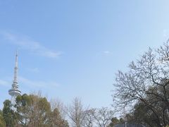 -食膳公园包子铺(烈士公园店)