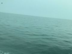 -精英汇健身·恒温游泳(北辰店)