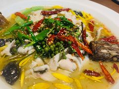 金汤酸菜海鲈鱼-肴约·花园式餐厅(湖里店)