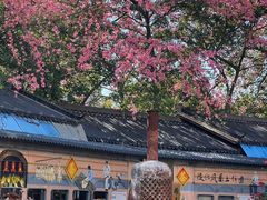 -风云岭森林公园