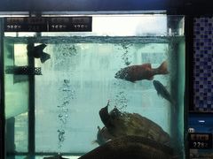 -鱼篮仔·潮汕美食(圆明新园店)