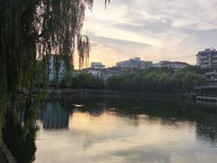 -孺子亭公园