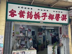 -洪馨椰子