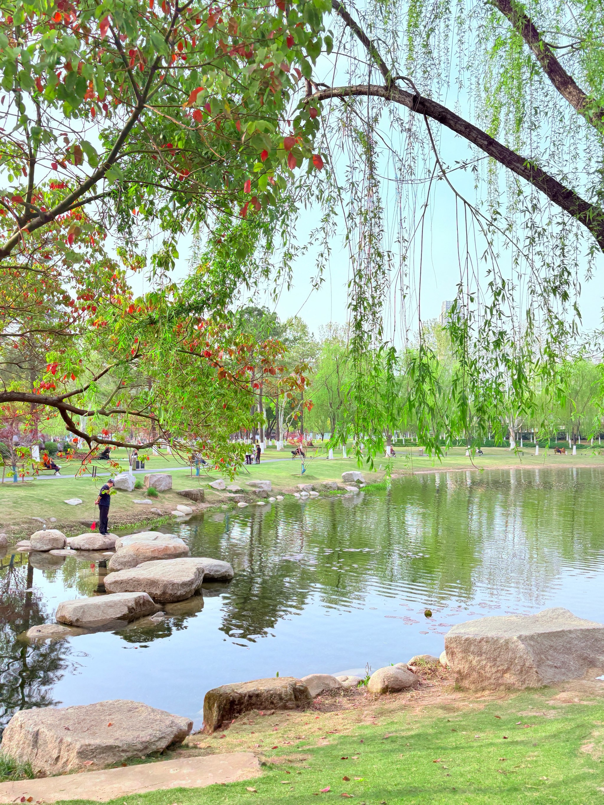 公园风光好武汉免费踏青,露营好去处