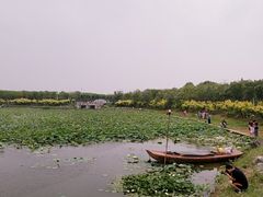 -天津东丽湖风景区