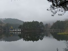 -庐山风景区花径公园