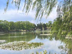 -有礼有面(知春路店)