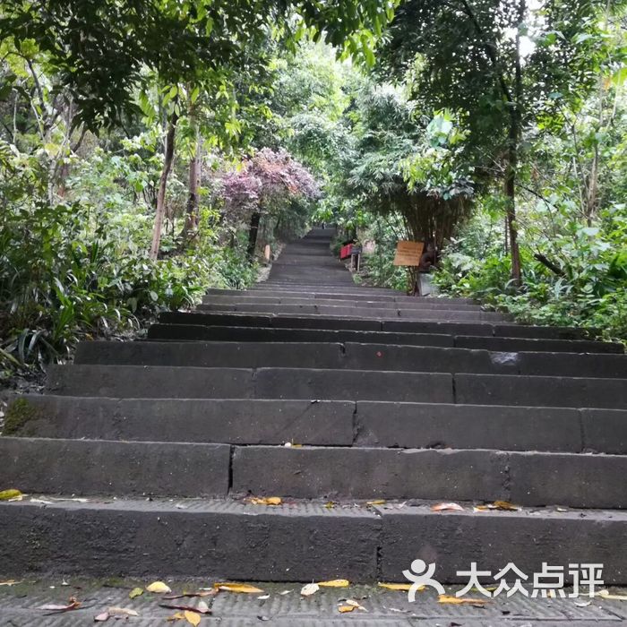 歌樂山國家森林公園