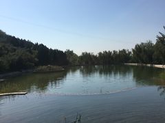 -静之湖湖畔餐厅