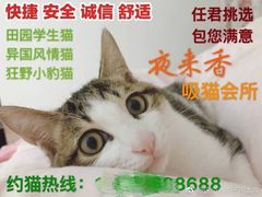 -冶春茶社(星汉大厦店)