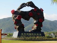-亚龙湾国际玫瑰谷