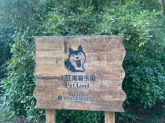 -上海崇明金茂凯悦酒店