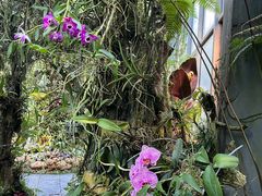 -东莞植物园