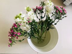 -盒马鲜生(枣园路店)