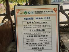 -西双版纳原始森林公园