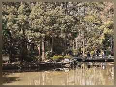 -人民公园-相亲角