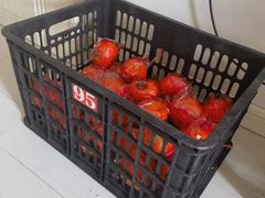 -西郊国际农产品交易中心