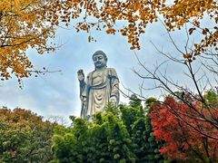 -灵山胜境