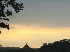 -顺峰山公园