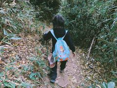 -杭州半山国家森林公园