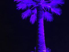 -悉尼海港大桥
