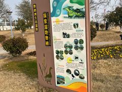 -鹦鹉洲湿地公园