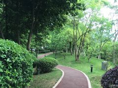 -樱桃山旅游景区