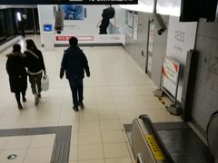 -呼家楼(地铁站)