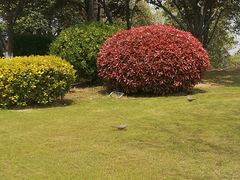 -云龙湖旅游景区