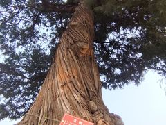 -承恩寺