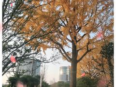 -大宁公园