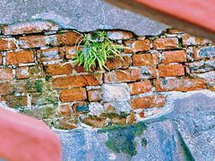 -狼山风景名胜区