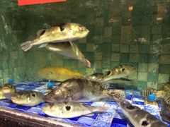 iphone_upload_pic-宝宇大连海鲜渔港(金奎大厦店)