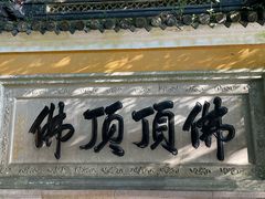 -普陀山慧济禅寺