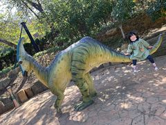 -大连森林动物园