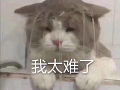 -上海市第一人民医院(松江南部)