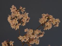 -幕燕滨江·燕子矶公园