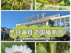 -国家植物园南园