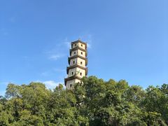 -江心屿景区