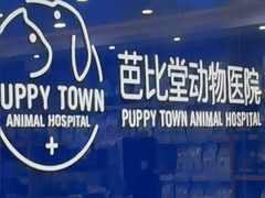 -芭比堂动物医院·24小时·眼科中心(深圳中心)